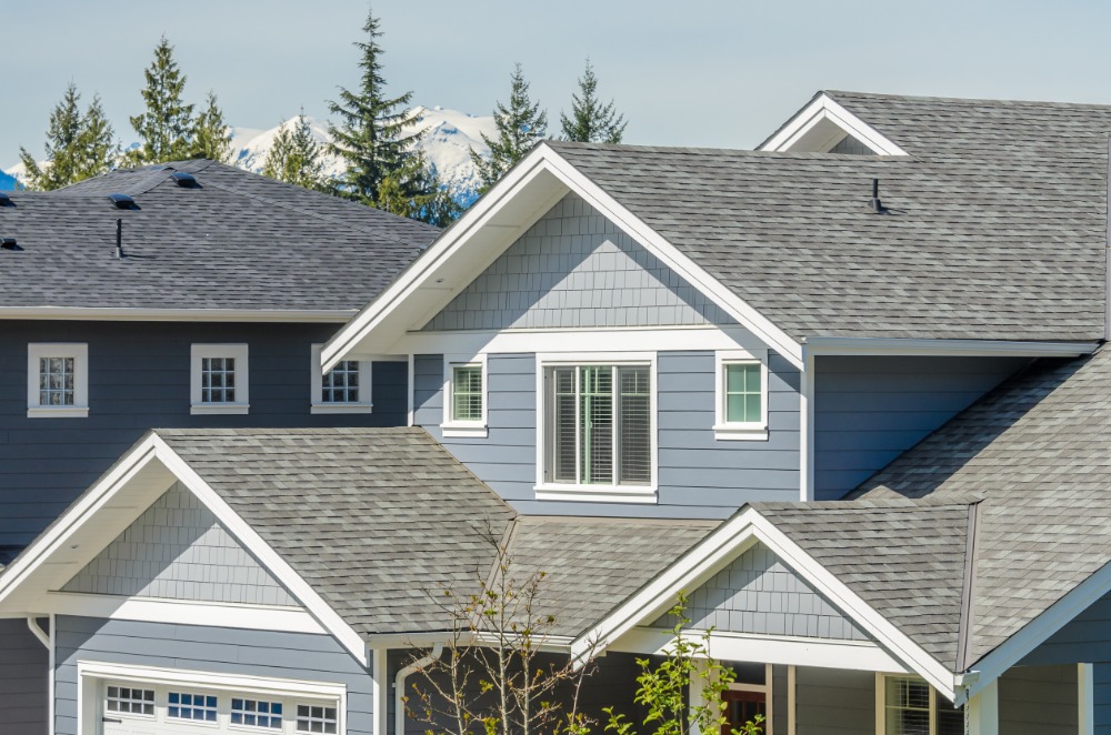 Modern gray houses and mountains