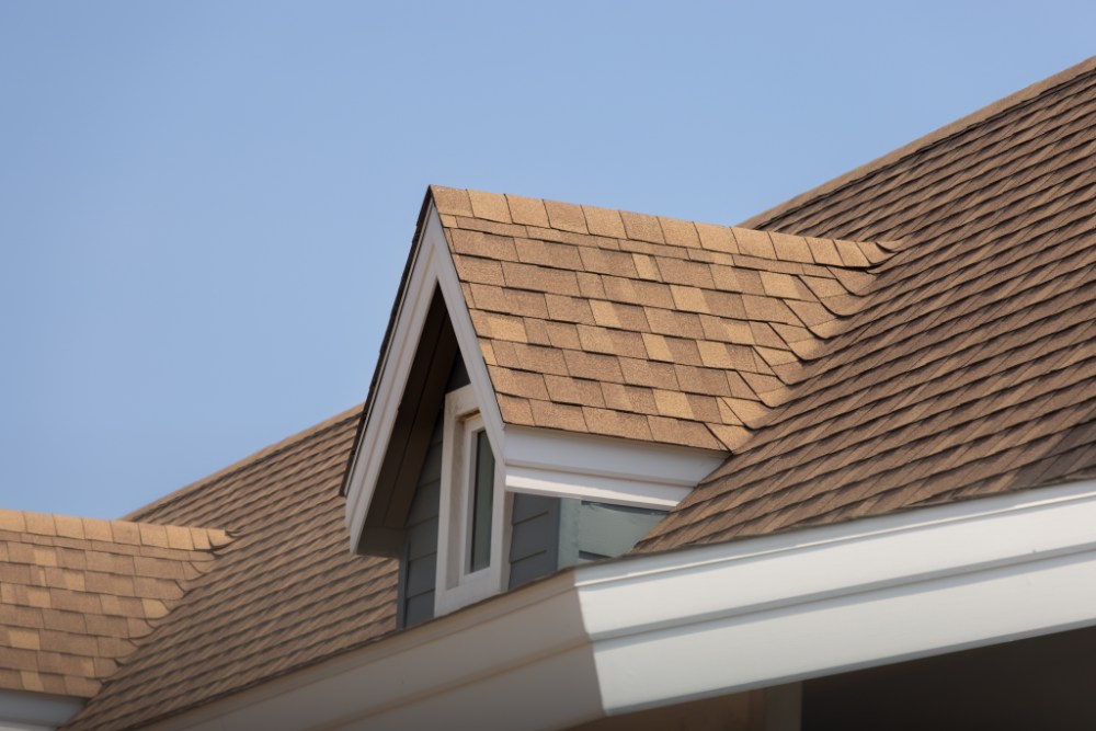 Roof with textured shingles